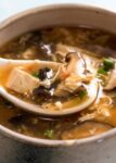 Chicken/Veg Hot & Sour Soup