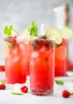 Raspberry Mojito